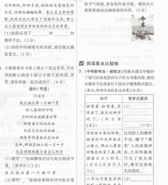 2025版ww大小卷七年级语数英-主题派