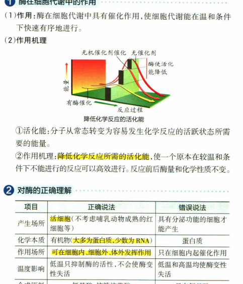 高中生物基础知识天天背精品-艾瑞克网