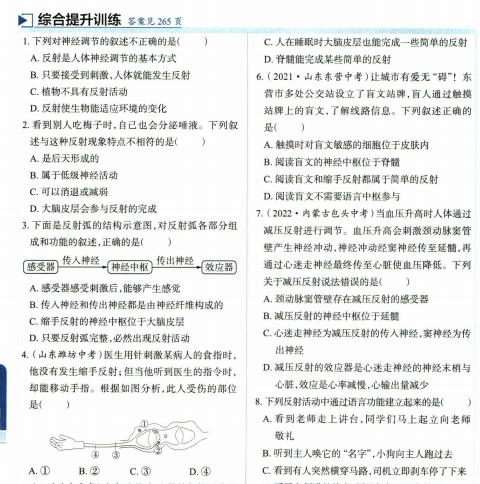 中学教材全解七年级下册地理-历史-数学-语文-生物-英语人教版-主题派