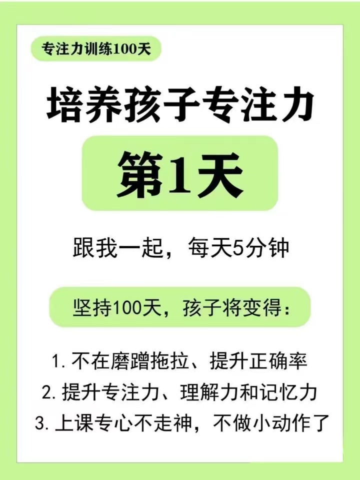 100天专注力训练合集-主题派