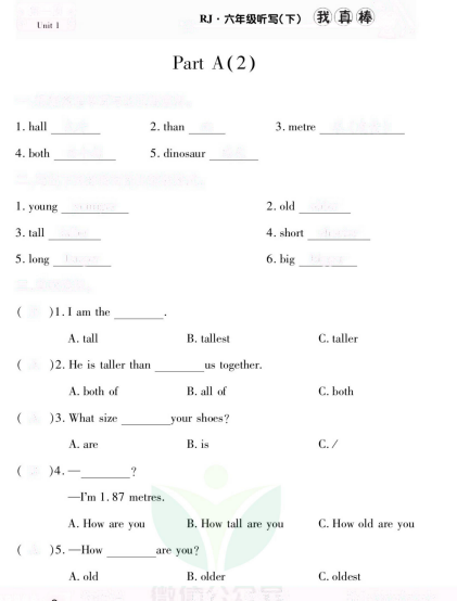 3~6年级RJ全册听写我真棒-主题派